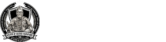 display logo